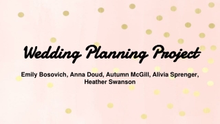 Wedding Planning Project