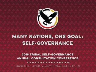 Martha Ketcher USET THPS Director, USET Tribal Health Solutions Group John Marshall