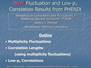 NEW Fluctuation and Low-p T Correlation Results from PHENIX