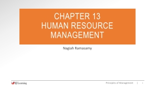 CHAPTER 13 HUMAN RESOURCE MANAGEMENT