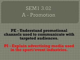 SEM1 3.02 A - Promotion