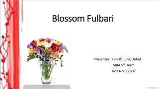 Blossom Fulbari