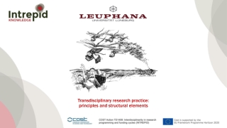 Transdisciplinary research practice: principles and structural elements