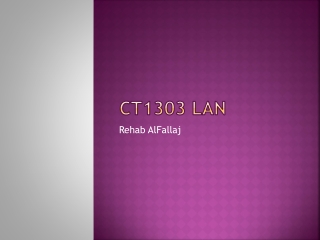 CT1303 LAN