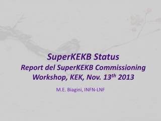 SuperKEKB Status Report del SuperKEKB Commissioning Workshop, KEK, Nov. 13 th 2013