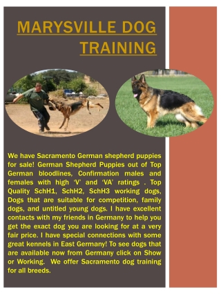Marysville Dog Training