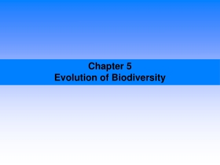 Chapter 5 Evolution of Biodiversity