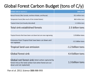 Global Forest Carbon Budget (tons of C/y)
