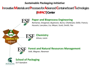 Paper and Bioprocess Engineering