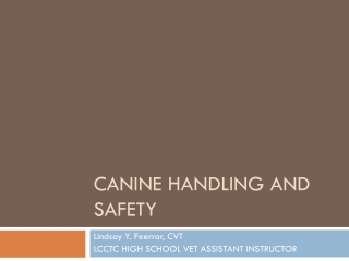 Canine handling and safety