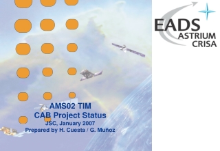AMS02 TIM CAB Project Status JSC, January 2007 Prepared by H. Cuesta / G. Muñoz