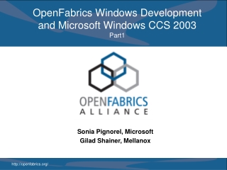 OpenFabrics Windows Development and Microsoft Windows CCS 2003 Part1