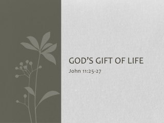 God’s Gift of Life