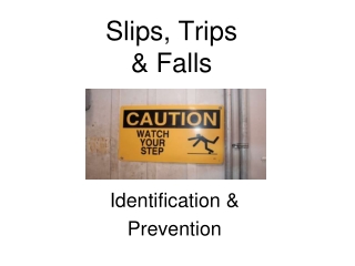 Slips, Trips &amp; Falls