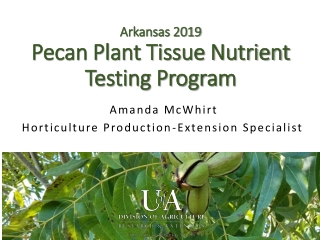 Arkansas 2019 Pecan Plant Tissue Nutrient Testing Program