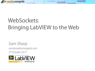 WebSockets : Bringing LabVIEW to the Web