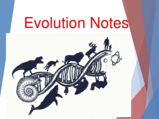 Evolution Notes