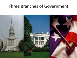 Three Branches of Government