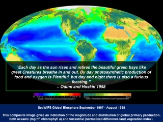 SeaWiFS Global Biosphere September 1997 - August 1998