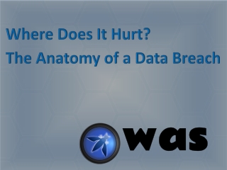 Where Does It Hurt? The Anatomy of a Data Breach