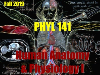 PHYL 141