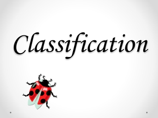 Classification