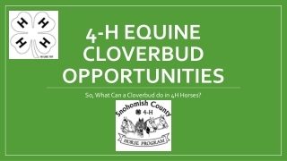 4-H Equine Cloverbud Opportunities