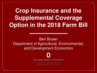 Crop Insurance and the Supplemental Coverage Option in the 2018 Farm Bill