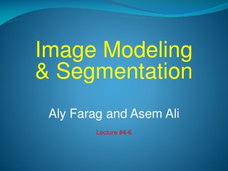 Image Modeling &amp; Segmentation