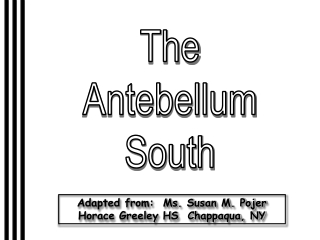 The Antebellum South