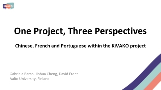 One Project, Three Perspectives