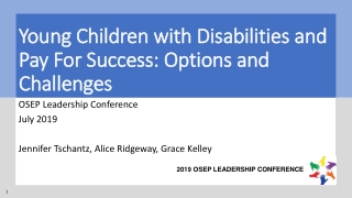 Young Children with Disabilities and Pay For Success: Options and Challenges