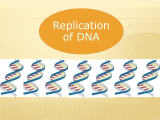 The process of making a copy of DNA is called DNA REPLICATION.