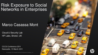 Risk Exposure to Social Networks in Enterprises