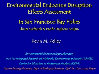 Environmental Endocrine Disruption Effects Assessment In San Francisco Bay Fishes