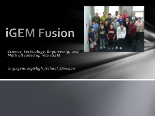 iGEM Fusion