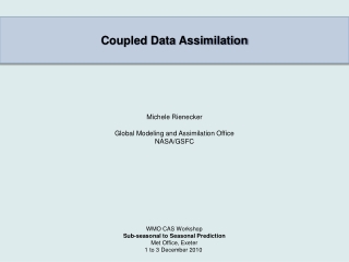 Coupled Data Assimilation