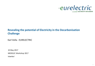 Revealing the potential of Electricity in the Decarbonisation Challenge