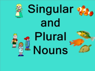 S ingular and plural nouns