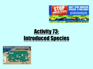 Activity 73: Introduced Species