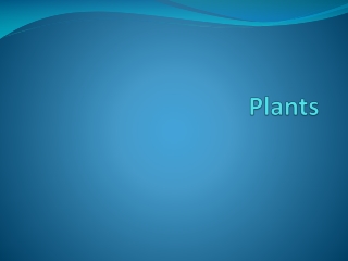 Plants