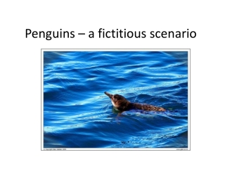 Penguins – a fictitious scenario