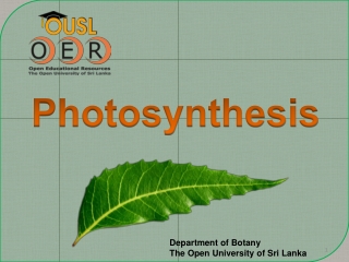 Photosynthesis