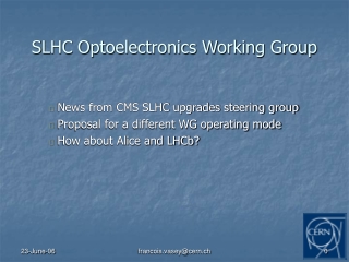 SLHC Optoelectronics Working Group