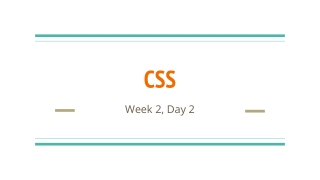 CSS