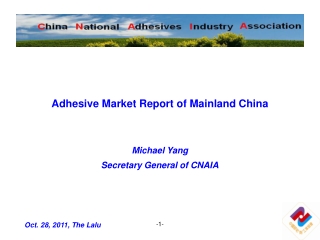 Adhesive Market Report of Mainland China Michael Yang Secretary General of CNAIA