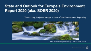 State and Outlook for Europe’s Environment Report 2020 (aka. SOER 2020)