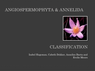 Classification