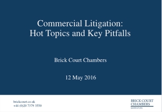 Commercial Litigation: Hot Topics and Key Pitfalls
