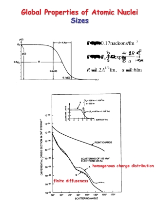 Global Properties of Atomic Nuclei Sizes